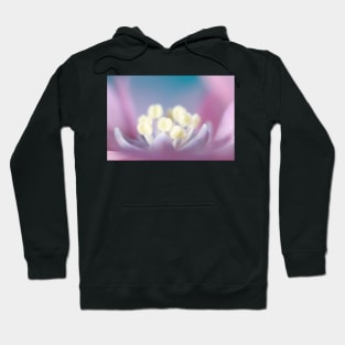 Hydrangea Dreams Hoodie